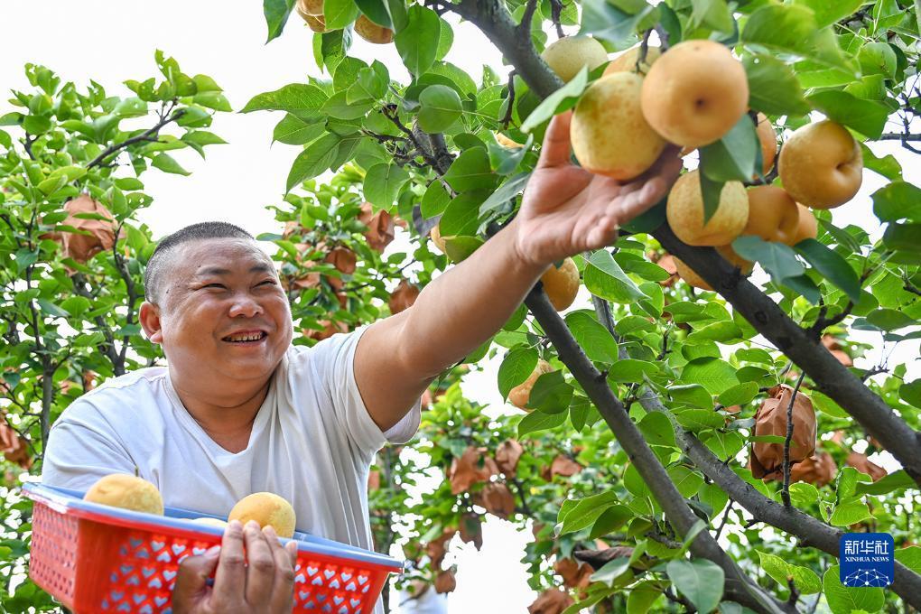 威尼斯老品牌值得信赖
